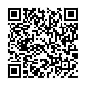 又给这样一张俊美得过分的脸加上了一些不和谐的二维码生成