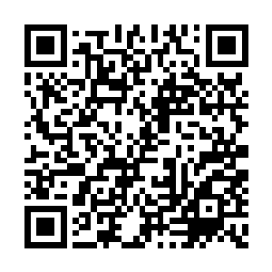 又被小妖给狠骂一顿――原来今天不是儿童节呢二维码生成