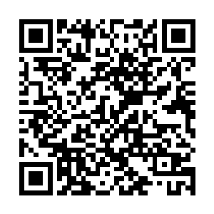 又要防止因噎废食在招商引资工作上谨小慎微无所作为二维码生成