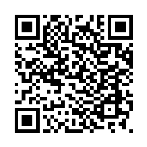 又见四位宫主丝毫没有面露不满之色二维码生成