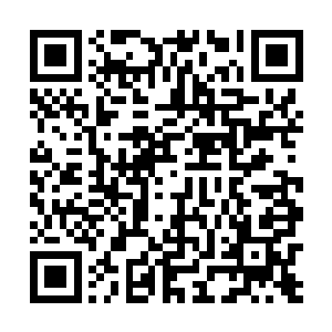 又见她伸手从挂在床上沿的剑鞘中抽出一把锋利的剑来二维码生成