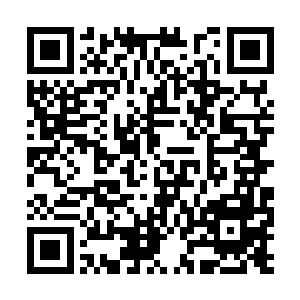 又起身去招呼着几个服务员和后厨都过来一起入座二维码生成