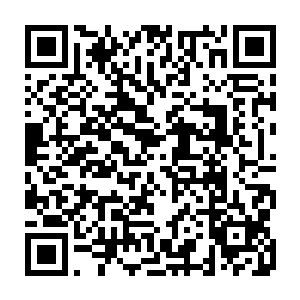 又轮到奥卡姆再次体验了一遍水之脉轮被摧毁炼化后那种生不如死的感觉二维码生成