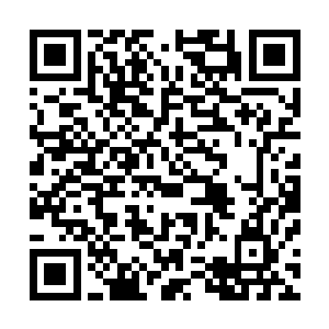 又骂骂咧咧的走到的西面已经清扫的光秃秃一片的树林边上二维码生成