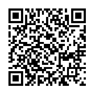 及从政后被曲解的部分言行与对黑人态度的深度剖析二维码生成
