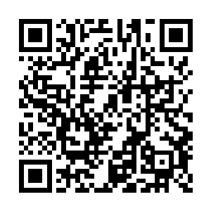 及第三批舰队的分配额度让步而保住了主帅之位二维码生成