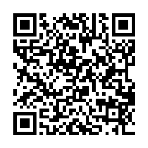 双头裂体兽吭哧吭哧的在海带魔兽玩身上又咬下两口二维码生成