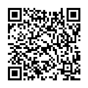 双手一拢便将范宁那瘦小的身躯完全包裹在怀中了二维码生成