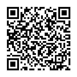 双手将自身真气不要命一般的输入到杨紫涵的体内二维码生成