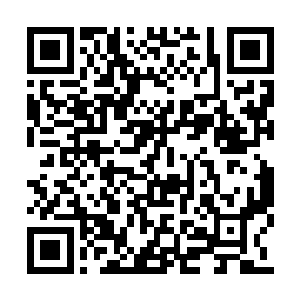 双手挥动间操控着血海凶悍地向着奔雷大帝拍去二维码生成