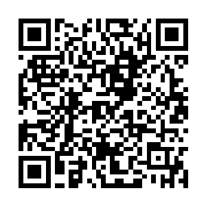 双手牢牢的抓着被子把雪玉般可爱的脸蛋遮住大半二维码生成