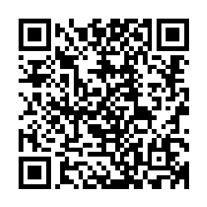 双掌掌心当中也是积蓄了一股水桶粗细的蓝白色闪电蓄势待发二维码生成