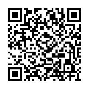 双方的人马在宽阔的街道上展开了面对面的交锋二维码生成