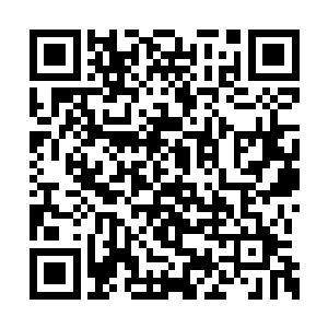 双方那因为本尊和转世不同而产生的一丝丝生疏二维码生成