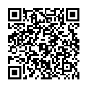 双眸也在焦急地搜寻着洛天星可能躲避或者存在的身影二维码生成