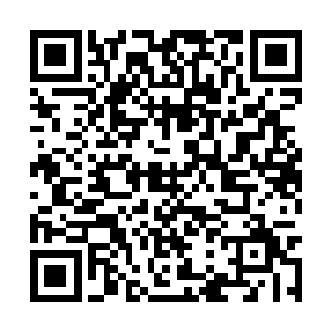 双眼一眨不眨的看着从天而降扑击而下的凶猛巨龙二维码生成