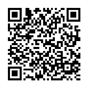 反倒又玩起了早前已经被玩得人憎鬼厌的镖局题材……我只能说二维码生成