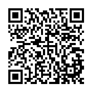 反倒是两名老者无论是手上武器还是身体只要和九五七稍有接触二维码生成