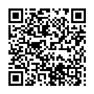 反倒是全部都只攻击了一半便秦方的军刺完全扼杀了二维码生成