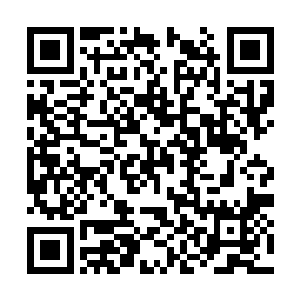 反倒是其中大量的空间银光被紫金青莲给吸了进去二维码生成