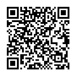 反倒是济世堂在此修路并建立药材基地令乡民们受益匪浅二维码生成