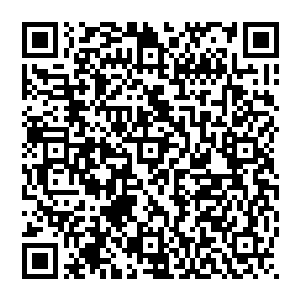 反倒是这种单枪匹马闯龙潭虎穴的年轻高手更多一些……虽然知道已经有杀手开始潜入到江州来对付了二维码生成