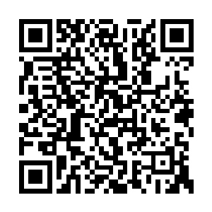 反倒是那雷火冰血蜈的身上却是忽然干瘪了很多二维码生成