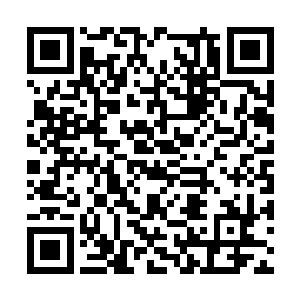 反击的任务还是交给后面络绎不绝冲上来的兄弟吧二维码生成