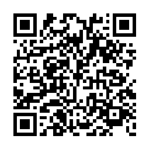 反手稳稳的将手里的香煎龙肝放到了朱平安面前二维码生成