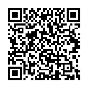 反抗和消极对待只会让实验的过程变得更加复杂二维码生成