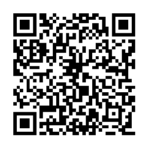 反正不能在这里坐以待毙攻城的魔族并没有死绝二维码生成