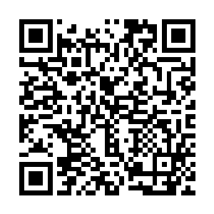 反正你收了股份也就等于帮着你师父分担了那五千万的巨额债务二维码生成