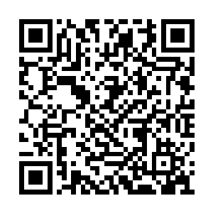 反正光明市的居民隔三差五就要举行类似的庆典二维码生成