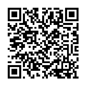 反正她是没看出来这小包子和自己哪儿长得像了二维码生成