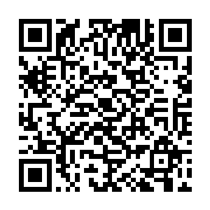 反正就是在你面前把衣服都都脱了任由摆布就就行了二维码生成