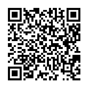 反正我想不出超体文明的每一个个体有什么继续生存下去的意义二维码生成