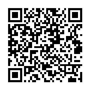 反正接到这活儿后我俩就去医院的急诊待了一下午二维码生成