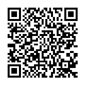 反正是一只跑到我没有了意识还在跑是我的妈妈把我拉进屋的二维码生成