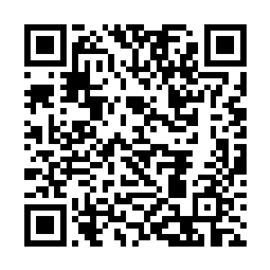反正本姑娘最看不惯东土那些操控着百姓思想的皇室二维码生成