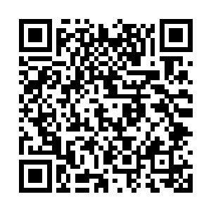 反正洛凌烟也不会真的对武功这种东西去勤学苦练二维码生成