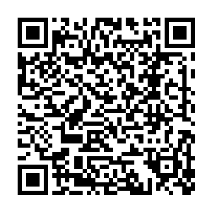 反正自己是绝对不会承认她是因为舍不得扔下队友才给她布下结界的二维码生成