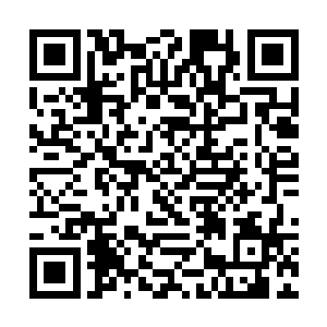 反正赐予他圣级修为对于我们的魔主也不是什么大事二维码生成