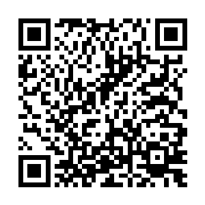 反正这些渺小的人类中有很多人会很好奇羡慕崇拜他们二维码生成