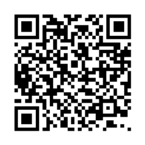 反而令小银鱼变成整条食物链的基础二维码生成