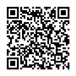 反而借着强烈的反震之力以更快的速度向着远方逃去二维码生成