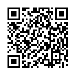 反而像是某种被大能力制造出来的精致娃娃~~二维码生成