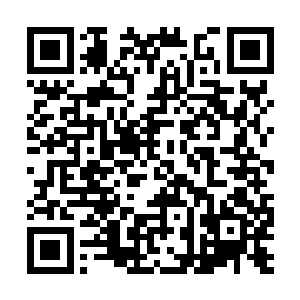 反而变得压力更大了……我认为这种回防除了作秀二维码生成