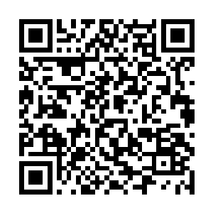 反而在轻松躲避的同时饶有兴趣的看着众多微型混洞二维码生成