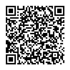 反而是有理有据的拿出百年前的辽国四征高丽的旧事与萧让再三分析二维码生成