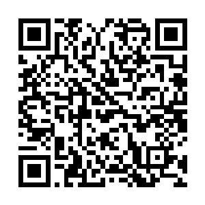 反而是李虎用自身的官职和国家气运来滋养自己的命格二维码生成